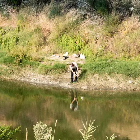 Anastou's Traditional House Kalopanagiotis