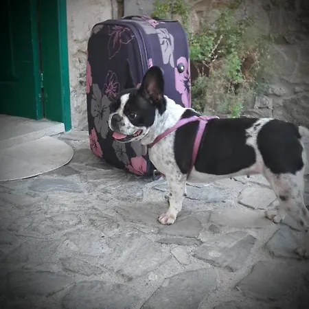 Anastou's Traditional House Vakantiehuis