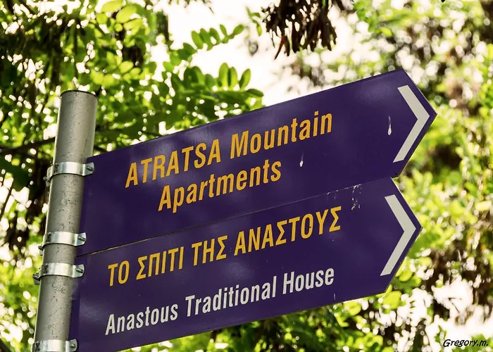 別荘 Anastou's Traditional House *