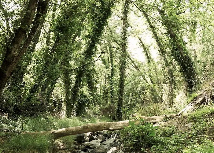 別荘 Anastou's Traditional House カロパナイオティス