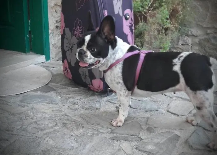 Anastou's Traditional House 別荘