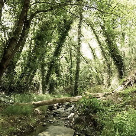 Hébergement de vacances Anastou's Traditional House Kalopanagiotis