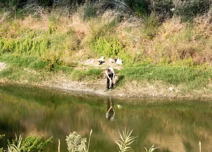 Anastou's Traditional House Kalopanagiotis